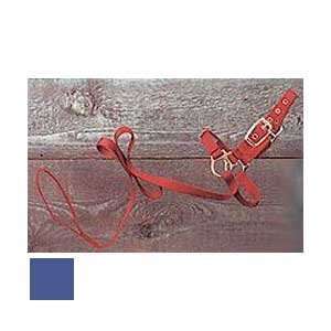  Sheep Show Halter with Lead, 3/4 x 5 Red: Everything 
