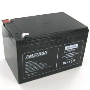   Amstron 12V/14AH Sealed Lead Acid Battery w/ F2 Terminal: Electronics