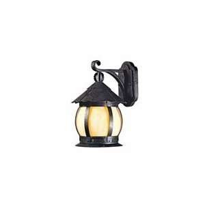  World Imports   1298 06  1 Lt. Outdoor Wall Lantern 