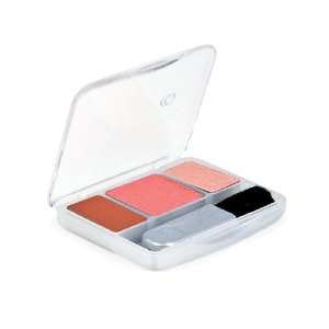  CoverGirl TruCheeks Blush Shade 2, 0.27 Ounce Pan (Pack of 