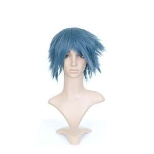  Short Blue Grey Anime Cosplay Costume Wig: Toys & Games