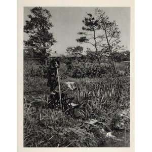  1930 Japanese Waterwheel Irrigation Japan Photogravure 