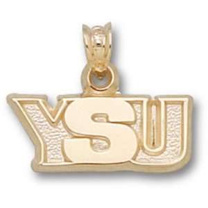 Youngstown State Penguins YSU Pendant   10KT Gold Jewelry:  