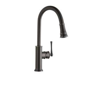 Elkay LKEC2031CR Chrome Explore Explore Pullout Spray Single Handle 