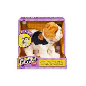  FurReal Friends Newborn Kitten   Calico Toys & Games