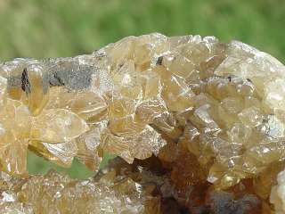 Fossil Amber Calcite Crystals Mercenaria Permagna Clam  