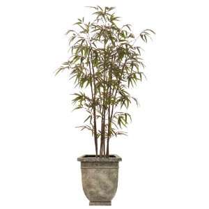 7FT BAMBOO TREE/2PC:  Home & Kitchen