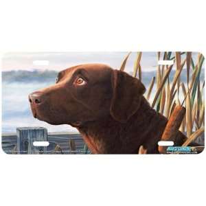  5311 Foul Weather Friend Chocolate Labrador Dog License 