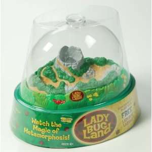   Lore Ladybug Land with Coupon for Live Ladybug Larvae