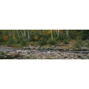 River in the Forest, Temperance River State Park, Minnesota, USA 