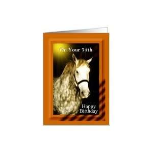  74th Happy Birthday ~ Rodeo Horse Card: Toys & Games