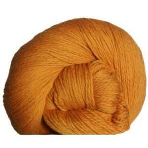  Cascade Yarn   Eco+ Yarn   8444 Butternut Squash Arts 