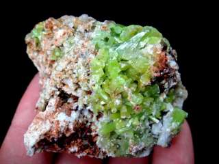 Cherish Flourish Yellow Green Pyromorphite Crystal