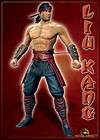 Mortal Kombat Finish Him Move from Liu Kang T Shirt Video Game Nerd 