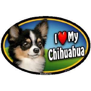   Oval Car Magnet   I Love My Chihuahua, Long Haired (128): Pet Supplies