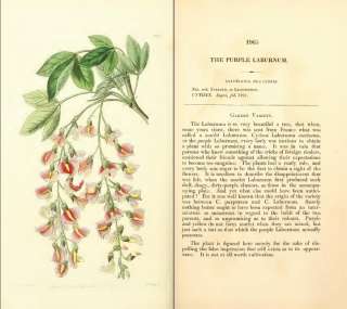 Edwardss Botanical Register Floral Prints 15 Volumes PDF On CD  