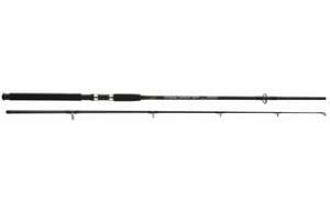 WSB Orbula Carbon spinning rods pike, game sea fishing  