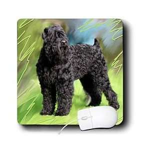  Dogs Black Russian Terrier   Black Russian Terrier   Mouse 