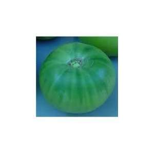  Green Giant Tomato Seed Patio, Lawn & Garden