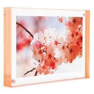   MAGNET FRAME with Peach Edge by Canetti   2.5x3.5: Camera & Photo