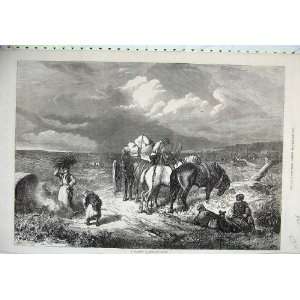  1871 Clearing New Forest Horses Cart People Fine Art