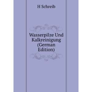 Wasserpilze Und Kalkreinigung Zwei Wichtige Punkte Der Abwasserfrage 