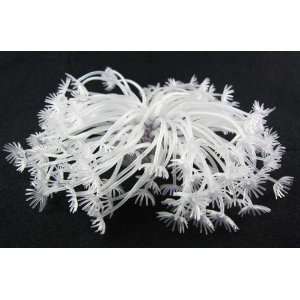   Fish Tank Silicone Sea Anemone Ornament SH189 white: Pet Supplies