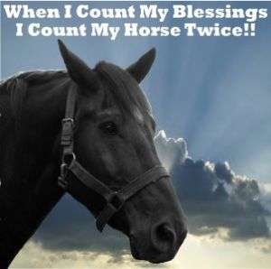 5X5 VINYL HORSE / EQUESTRIAN DECAL=COUNT MY BLESSINGS  