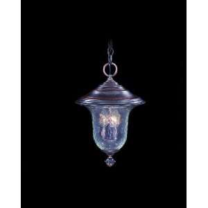 Framburg 8326 RC Raw Copper Carcassonne Transitional Outdoor Pendant 