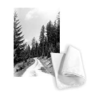 Forest path near Filzmoos, Austria   Tea Towel 100% Cotton 