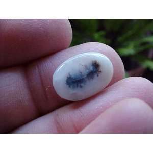  Zs2313 Gemqz Dendritic Agate Loose Oval Cabochon Cute 
