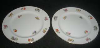 OCCUPIED JAPAN Noritake China FLORAL SALAD PLATE (s)  