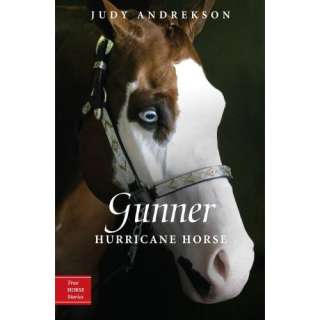   : Hurricane Horse (True Horse Stories): Judy Andrekson,David Parkins