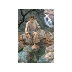    Living Water   1000pc Jigsaw Puzzle by Serendipity: Toys & Games