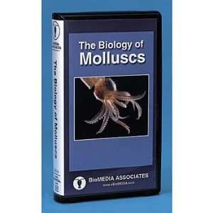  Branches on the Tree of Life: Molluscs DVD: Industrial 