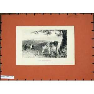  Wanderers Country Men Horses Dogs Trees Antique Print 