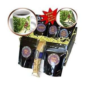 Florene Macro Plants   Berry Red   Coffee Gift Baskets   Coffee Gift 