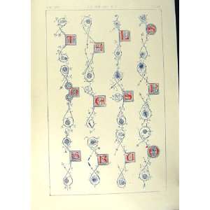    1860 Art Illuminating Alphabet Letters Calligraphy