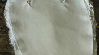 Genuine Stingray Skin Ivory Polished 14x27 Hide  