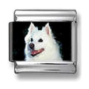  American Eskimo dog Italian charm: Jewelry