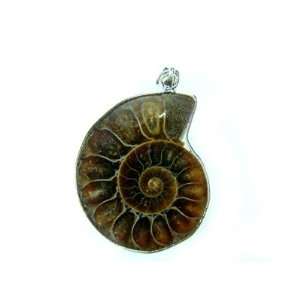  PE0130 Madagascar Ammonite Fossil Crystal Pendant Jewelry