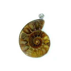  PE0154 Madagascar Ammonite Fossil Crystal Pendant Jewelry