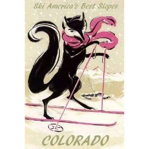 FOX Ski Skiing in Colorado Travel Tourism United States Winter Sport 