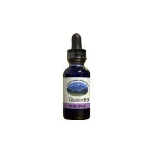  HoneyCombs Vitamin B5 Extract Alcohol Free (Liquid), 1 oz 