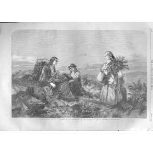  Heather Bells By Cobbett Fine Art Antique Print 1859