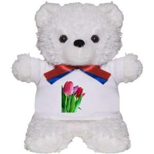  Teddy Bear White Pink and Purple Tulips: Everything Else