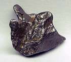 Gram Stony Meteorite L4 Chondrite Arizona