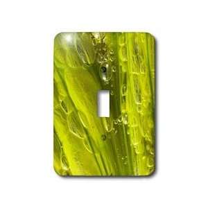 Spanish Nature   Colonial Green Algae   Light Switch Covers   single 