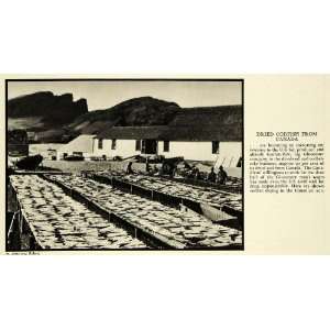  1935 Print Dried Codfish Canada Gorton Pew Gloucester 