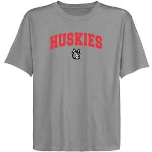   : Northeastern Huskies Youth Ash Logo Arch T shirt: Sports & Outdoors